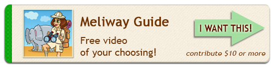 Meliway Travel Movie Maker - Perk Guide
