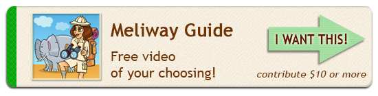 Meliway Travel Movie Maker - Perk Guide