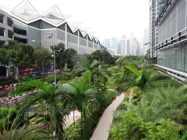 Green Singapore