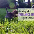 Deciding What Freelance Services to Offer